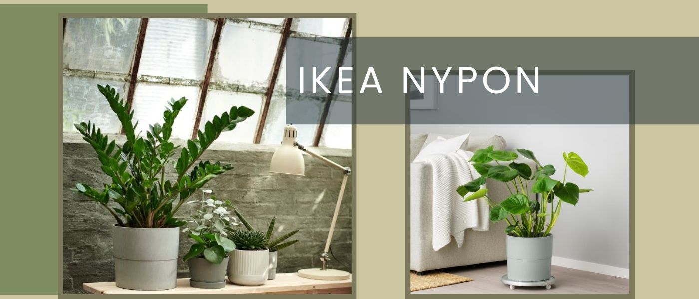 گلدان ایکیا مدل IKEA NYPON-00395624